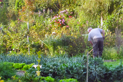 Un hortillon au travail