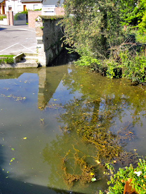 Port à fumier dans les Hortillonnages