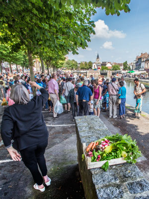 Marché sur l'eau Hortillonnages